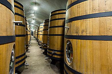 《刺客信条：影》实体版需要联网才能安装